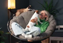 Své mazlíčky milujeme a sledujeme tak trendy v péči o ně.