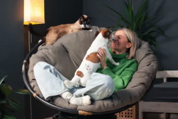 Své mazlíčky milujeme a sledujeme tak trendy v péči o ně.