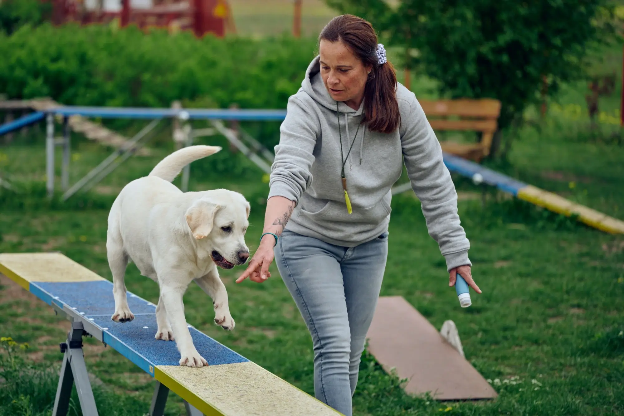 Žena vede labradora po lávce pro agility