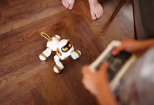 Robotický pes